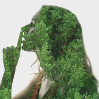 Event review: Company Law and Sustainability